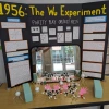 Wu Experiment exhibit by Maria Mutz